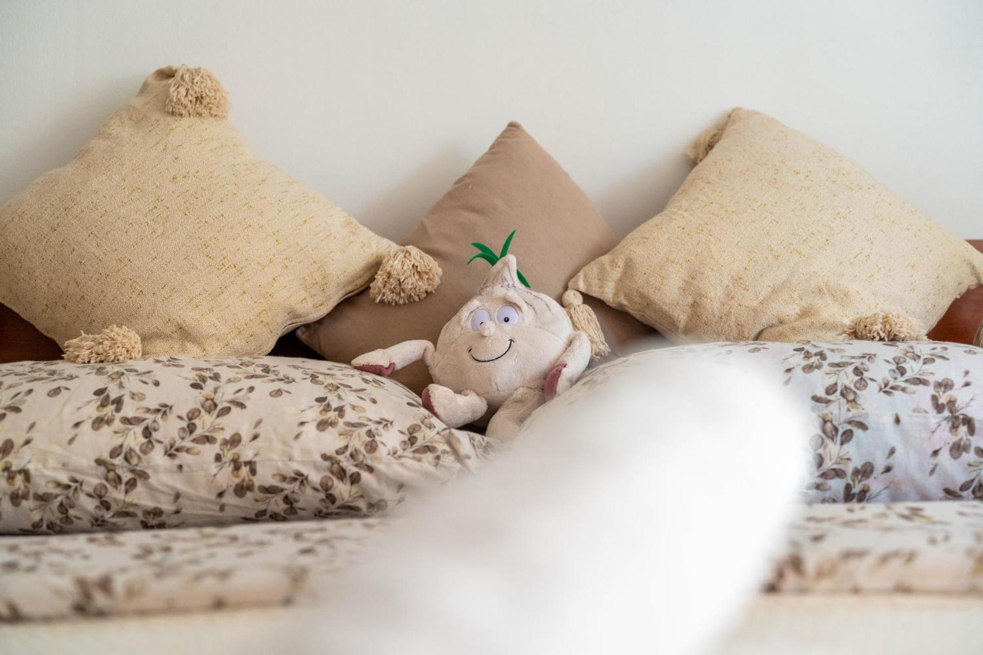 Apartman Lili Knin Εξωτερικό φωτογραφία