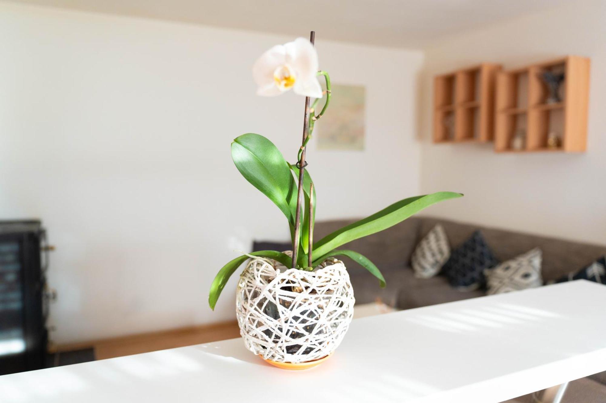 Apartman Lili Knin Εξωτερικό φωτογραφία